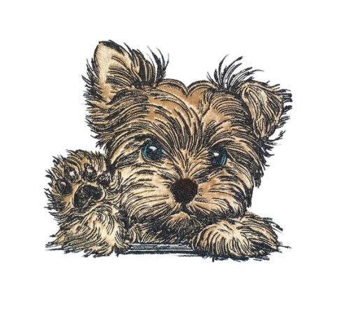Matriz Bordado Cão Yorkshire Terrier 2