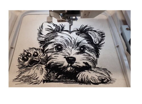Matriz Bordado Cão Yorkshire Terrier