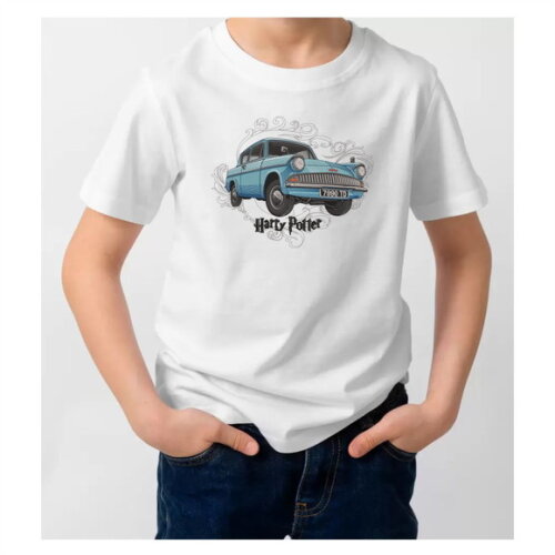 Matriz Bordado Carro Voador Harry Potter