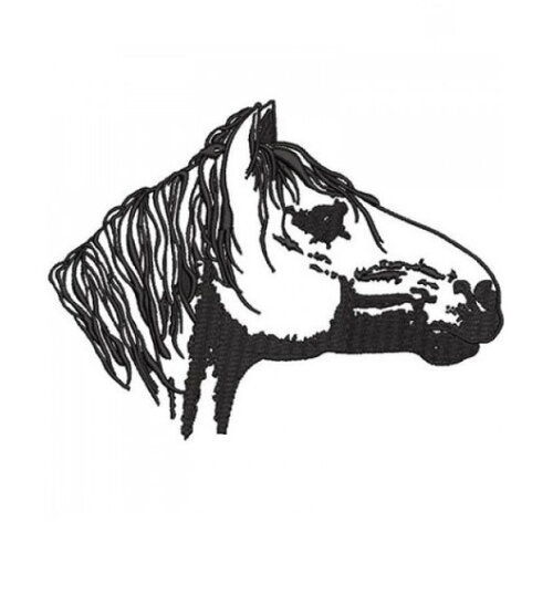 Matriz Bordado Cavalo Crioulo 2