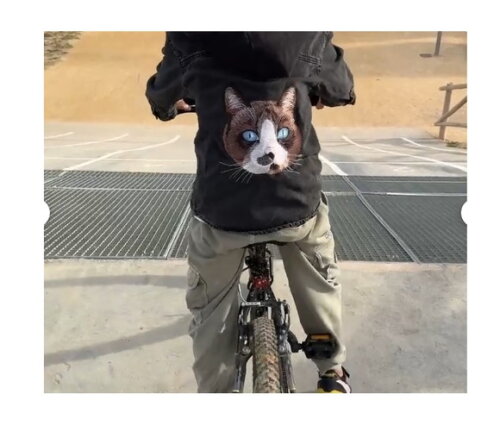 Matriz Bordado Gatinho Realista