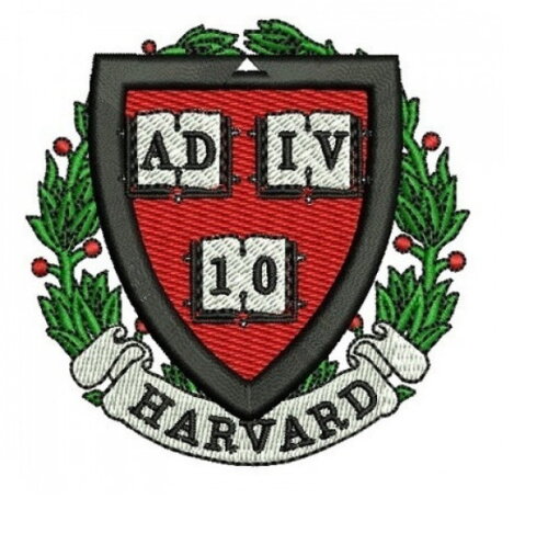 Matriz Bordado Havard