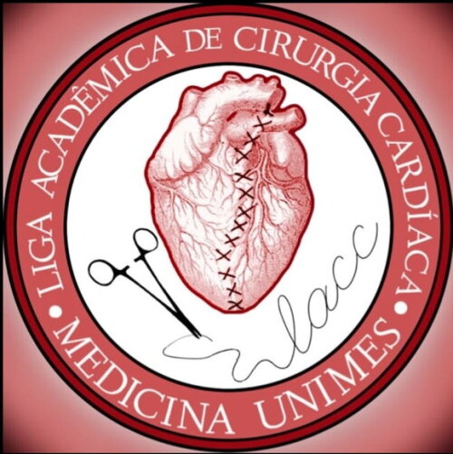 Matriz Bordado Liga Acadêmica de Cirurgia Cardíaca Unimes