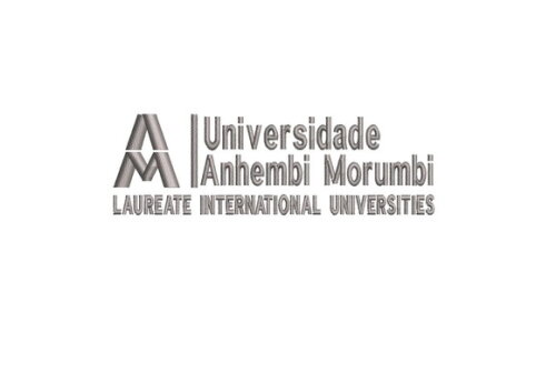 Matriz Bordado Universidade Anhembi Morumbi 2