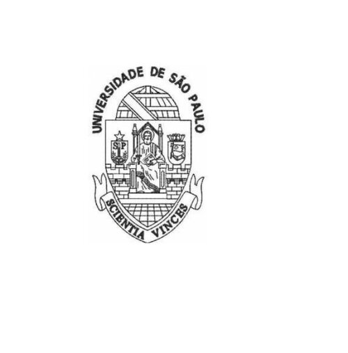 Matriz Bordado Universidade de São Paulo - Preto