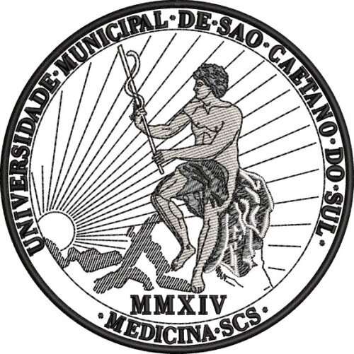 Matriz Bordado Universidade São Caetano