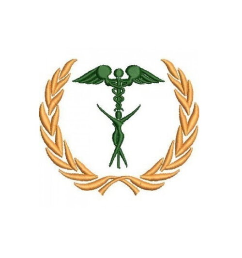 Matriz De Bordado Fisioterapia 3