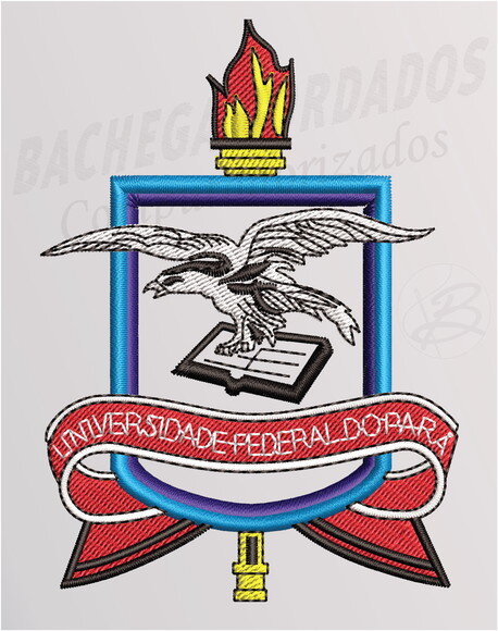 Matriz de Bordado UFPA