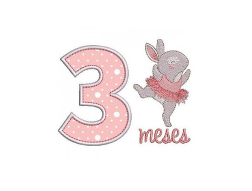 Pacote Matriz De Bordados Mesversários Meninas 1 À 11