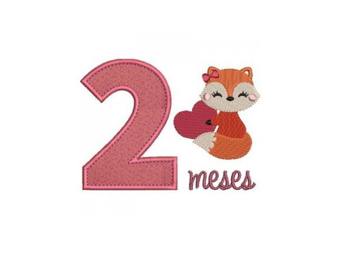 Pacote Matriz De Bordados Mesversários Meninas 1 À 11