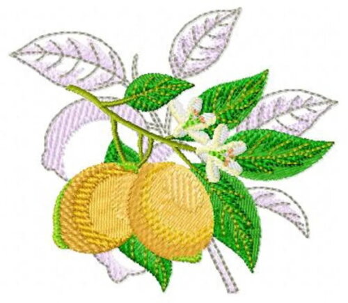 Pacote Matrizes de Bordados Frutas
