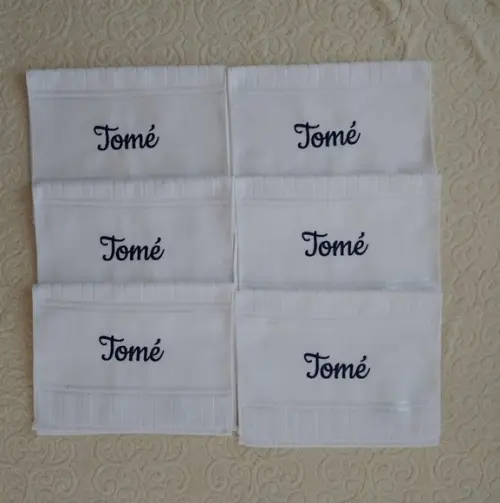 Kit com 12 Toalhinhas para Lancheira Apenas com Nome Bordado