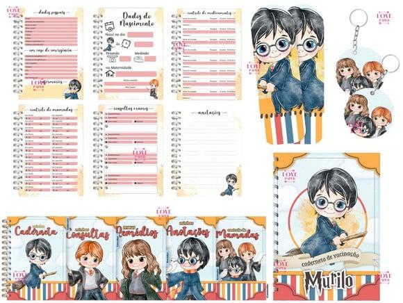 Combo Caderneta e Cartão do Sus Harry Potter Arquivo Digital