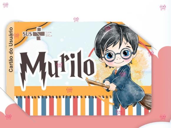 Combo Caderneta e Cartão do Sus Harry Potter Arquivo Digital