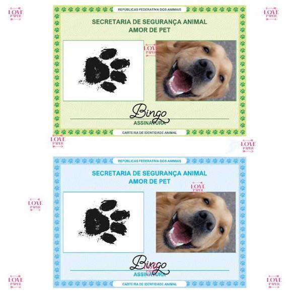 Combo Pet Cachorrinho Arquivo Digital
