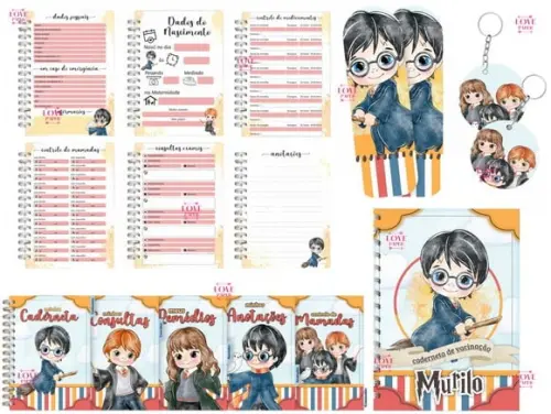 Combo Caderneta e Cartão do Sus Harry Potter Arquivo Digital
