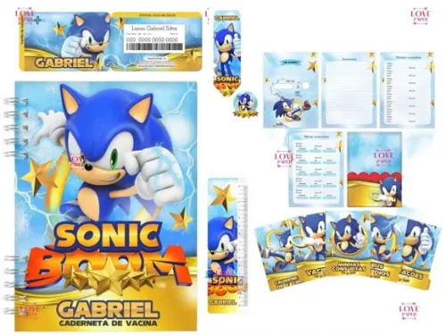 Combo Caderneta e Cartão do Sus Sonic Arquivo Digital