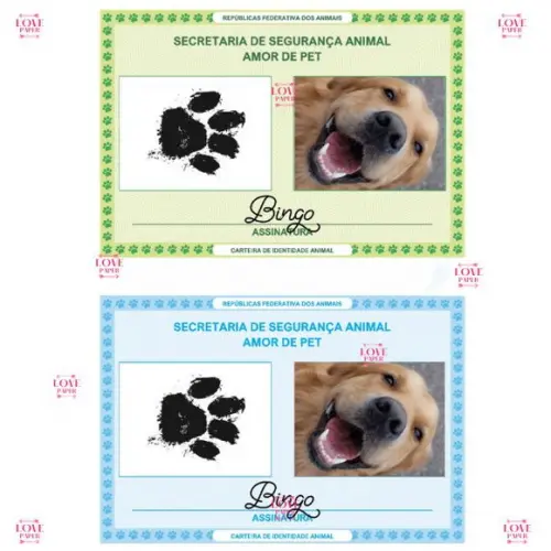 Combo Pet Cachorrinho Arquivo Digital
