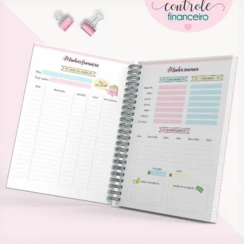 Controle Financeiro + Arte para Caneca - Arquivo Digital