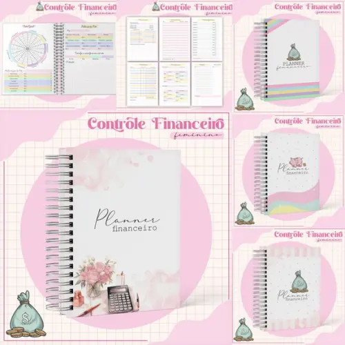 Planner Financeiro Feminino Arquivo Digital