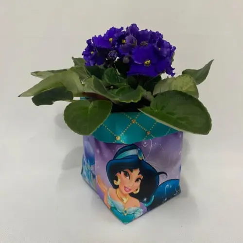 Cachepô Princesa Jasmine