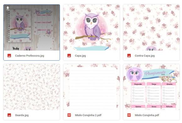 Arquivo Digital Caderno Professora Coruja - Cód.: 60