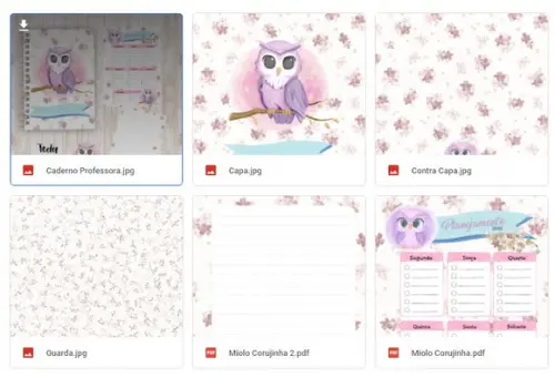 Arquivo Digital Caderno Professora Coruja - Cód.: 60