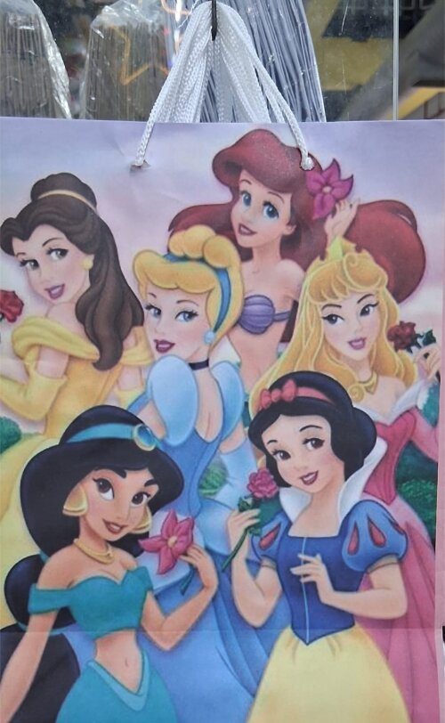 30 Sacolas de papel Princesas