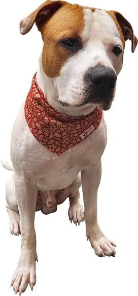 Bandana Pet Personalizada m ou G Natal