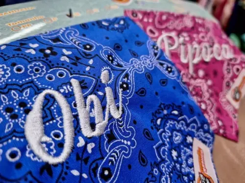 Bandana Pet Personalizada Gg Várias Estampas