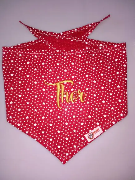 Bandana Pet Personalizada Pp ou P Várias Estampas