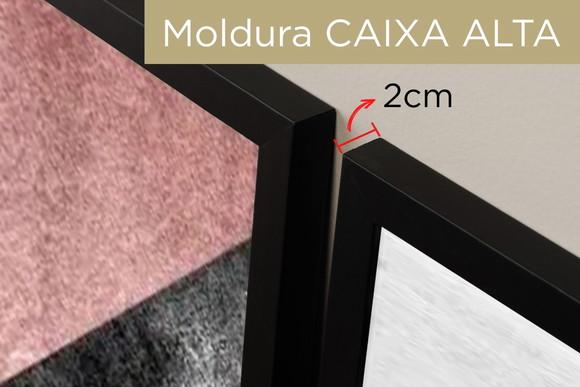 2 Quadros Abstratos Geométrico Rosa Casal Decoração Moldura