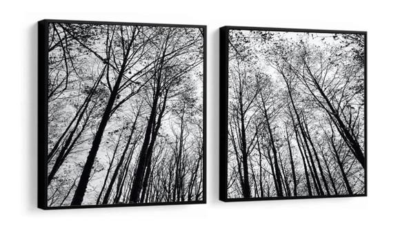 2 Quadros Galhos Paisagem Preto e Branco Decoração Molduras