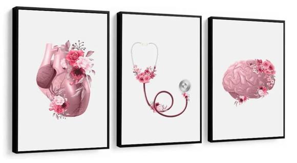3 Quadros Anatomia Cérebro Coração Decoração Medico Molduras