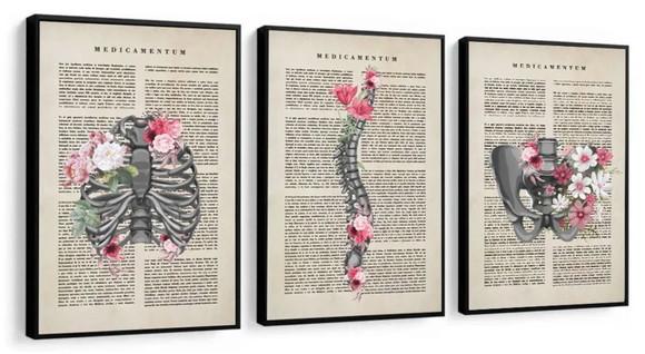 3 Quadros Anatomia Consultório De Medicina Decoração Moldura