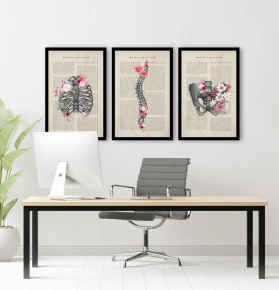 3 Quadros Anatomia Consultório De Medicina Decoração Moldura