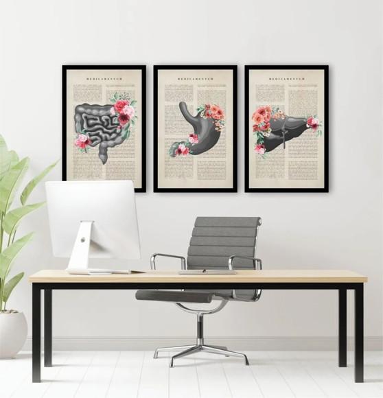 3 Quadros Anatomia Consultório Medicina Decoração Moldura