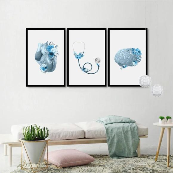 3 Quadros Anatomia Coração Cérebro Decoração Medico Molduras