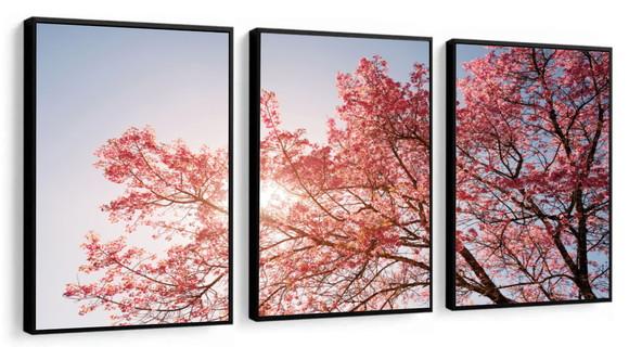 3 Quadros Arvore Flores Cerejeira Decoração Folhagem Moldura