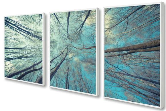 3 Quadros Arvore Galhos Céu Azul Decoração Conjunto Molduras