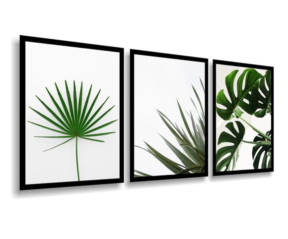3 Quadros Decoração Costelas De Adão Folhagem Verde Botânico