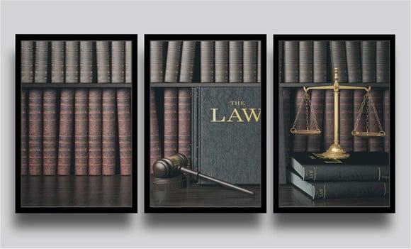 3 Quadros Decorativos Advogado Escritório Direito Molduras