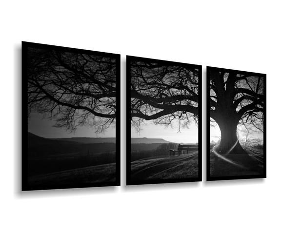 3 Quadros Decorativos Arvores Preto Branco Botânico Molduras