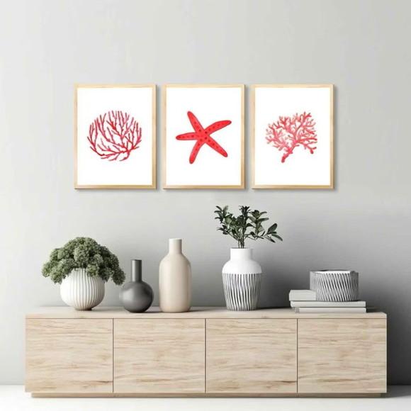 3 Quadros Decorativos Estrela do Mar Moderno Moldura e Vidro