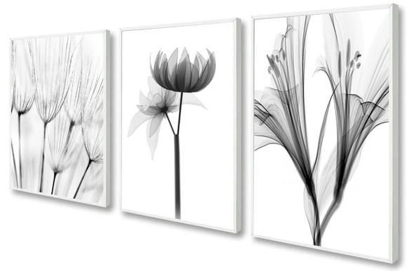 3 Quadros Decorativos Flores Preto E Branco Botânico Moldura
