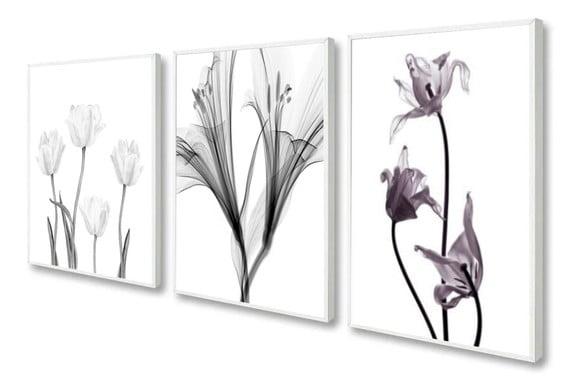 3 Quadros Decorativos Flores Preto E Branco Botânico Moldura