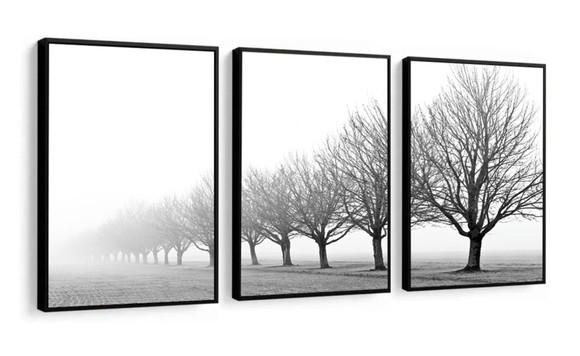 3 Quadros Decorativos Galhos Preto e Branco Arvore Moldura