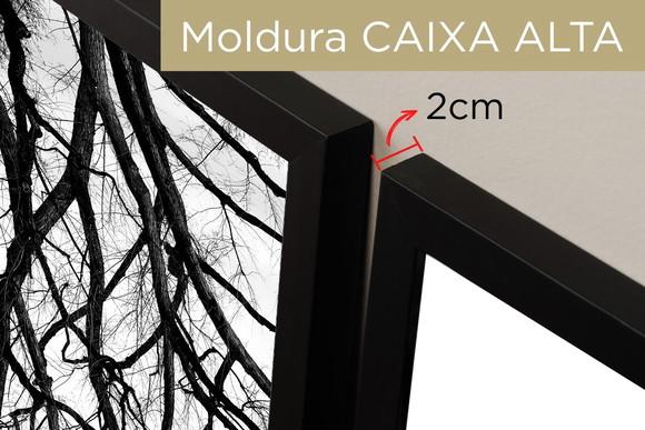 3 Quadros Decorativos Galhos Preto e Branco Arvore Moldura