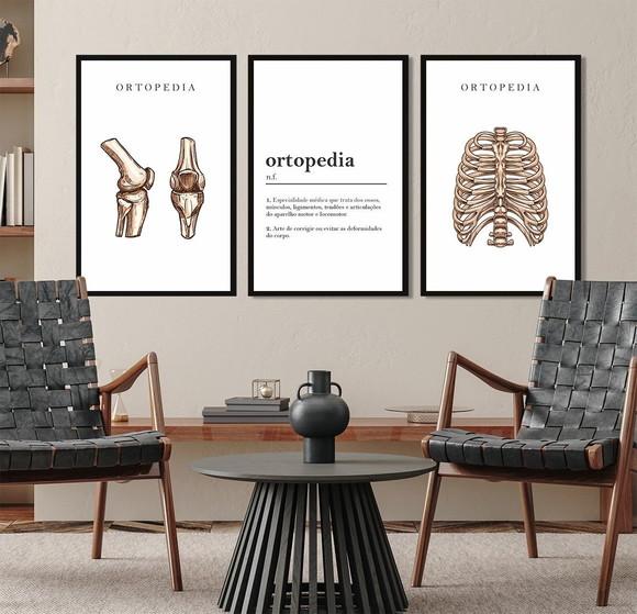 3 Quadros Decorativos Ortopedista Medicina Moldura Vidro