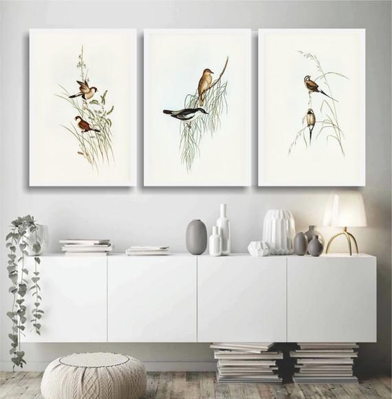 3 Quadros Decorativos Passarinhos Animais Conjunto Moldura